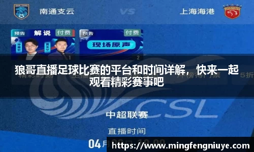 优游国际手机下载