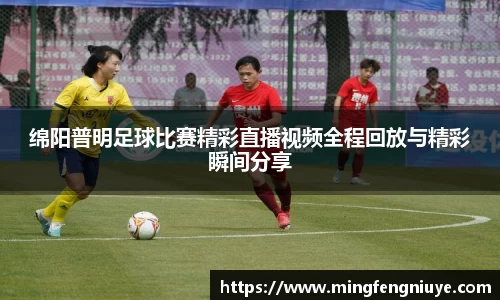 优游国际官方网站