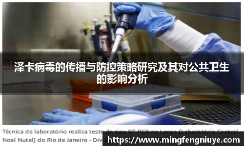 优游国际网址