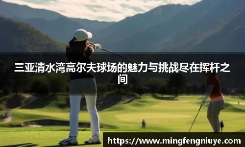 三亚清水湾高尔夫球场的魅力与挑战尽在挥杆之间